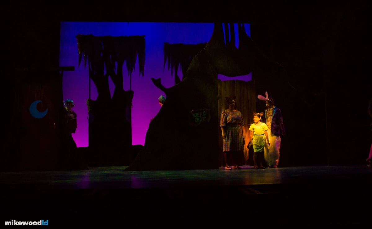 Shrek The Musical, production photo