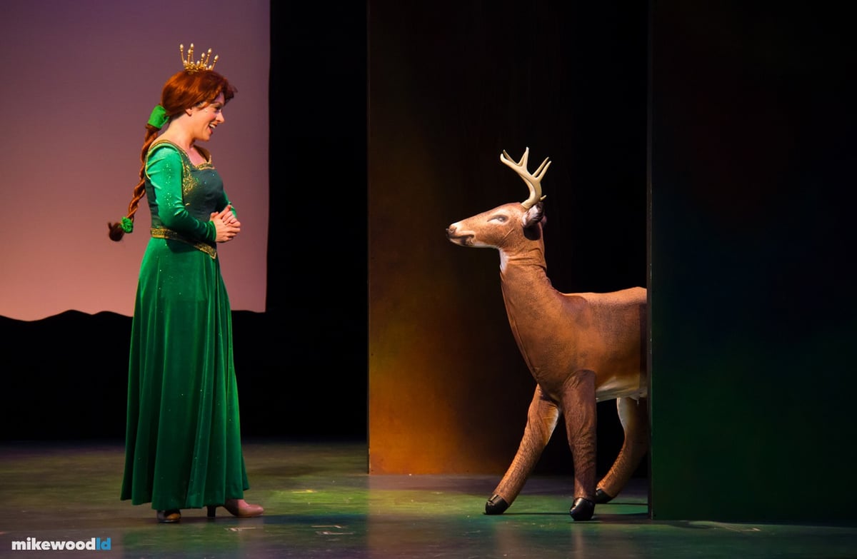 Shrek The Musical, production photo