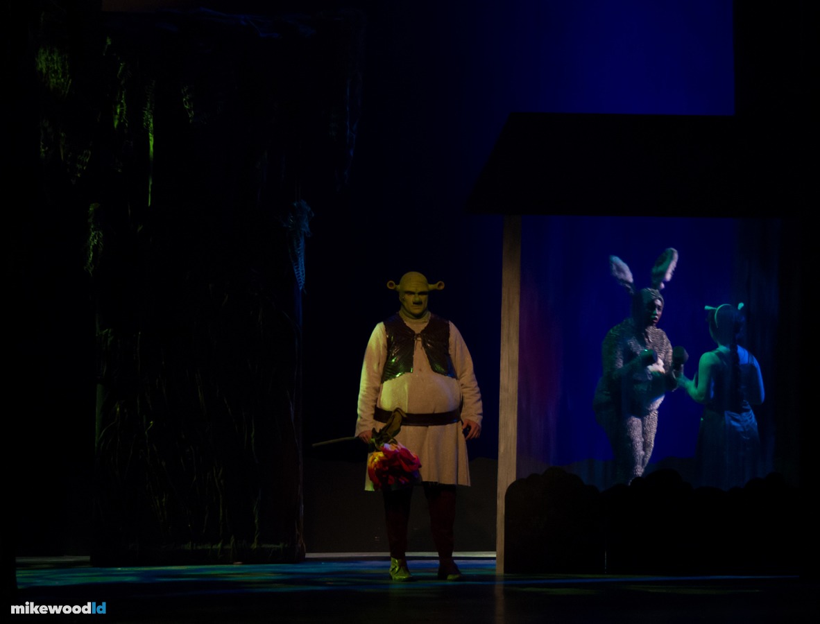 Shrek The Musical, production photo
