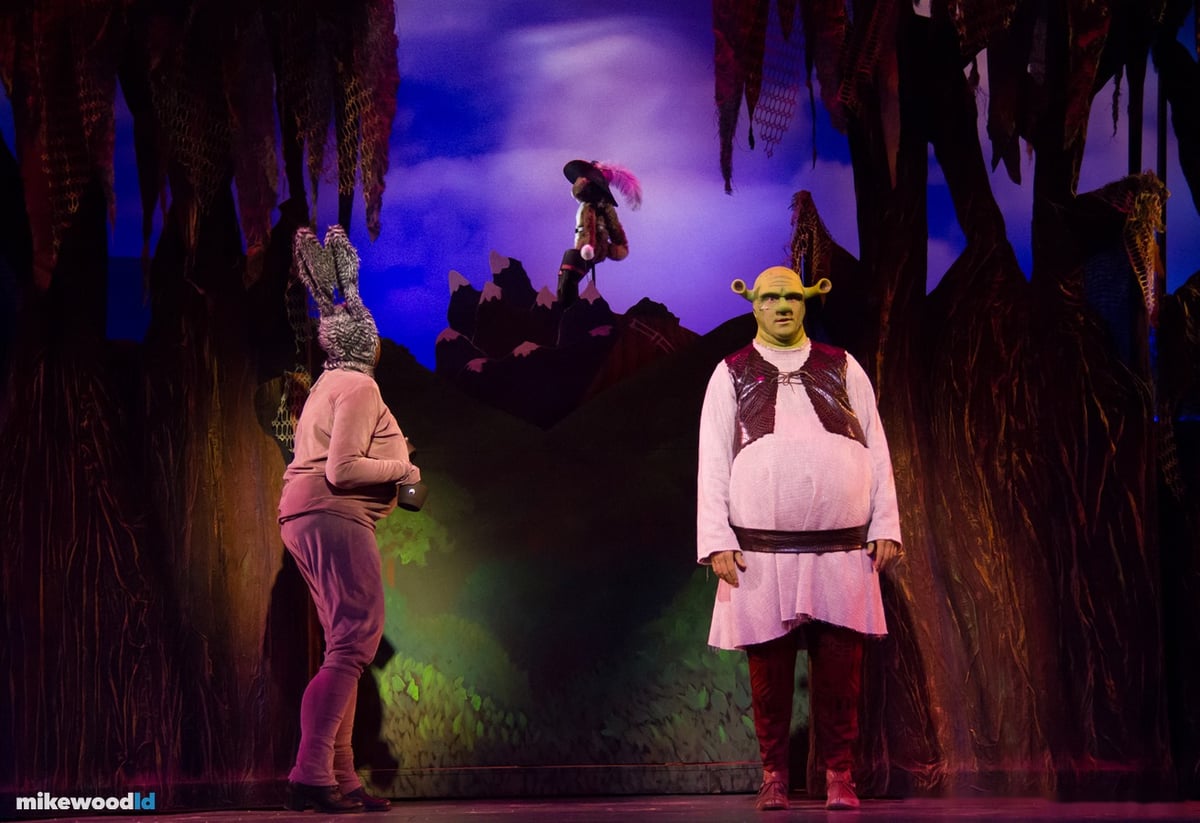 Shrek The Musical, production photo