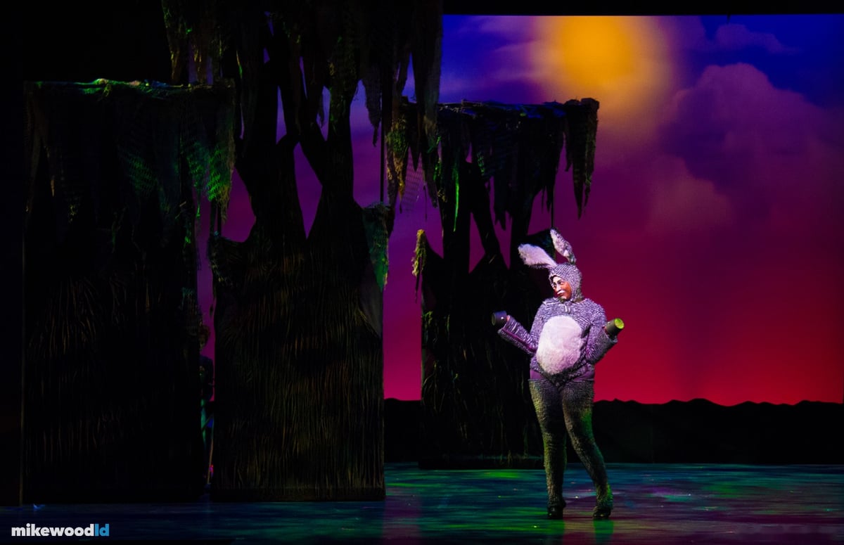 Shrek The Musical, production photo