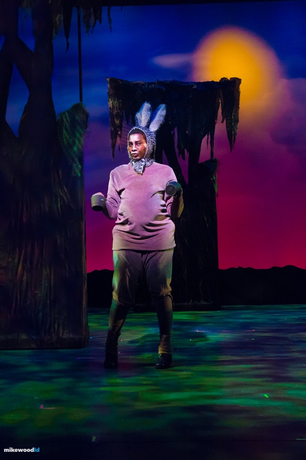 Shrek The Musical, production photo
