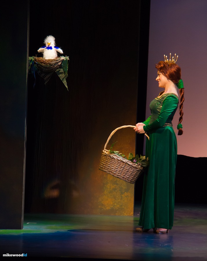Shrek The Musical, production photo