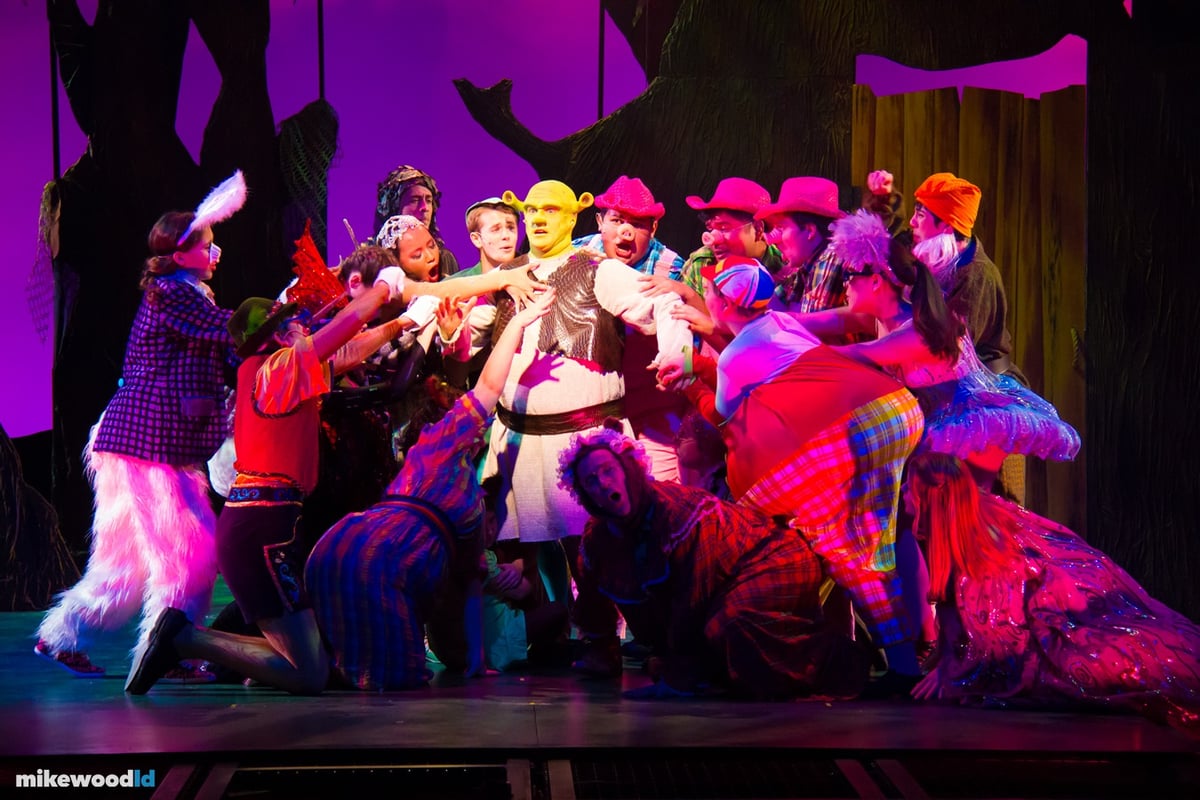 Shrek The Musical, production photo