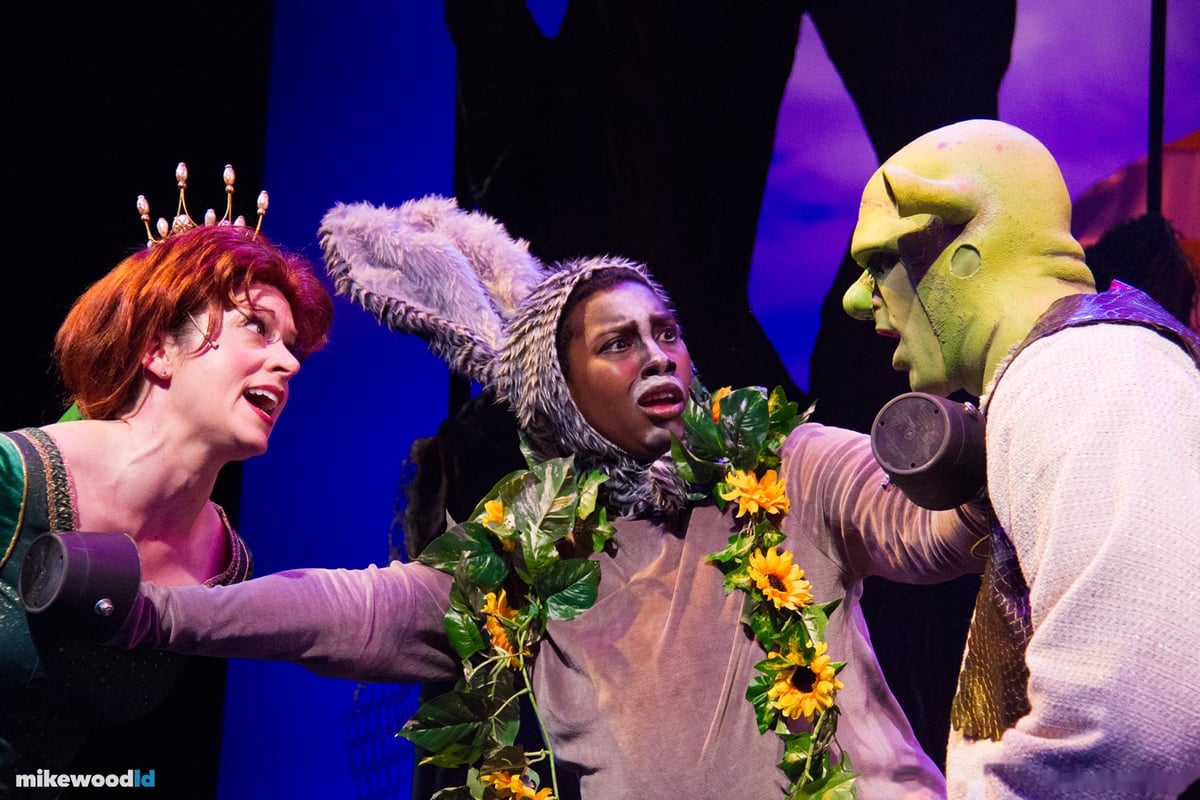 Shrek The Musical, production photo