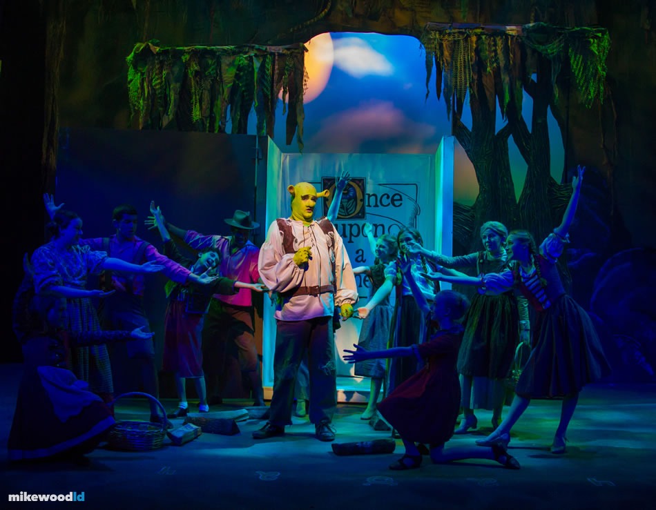 Shrek The Musical, production photo