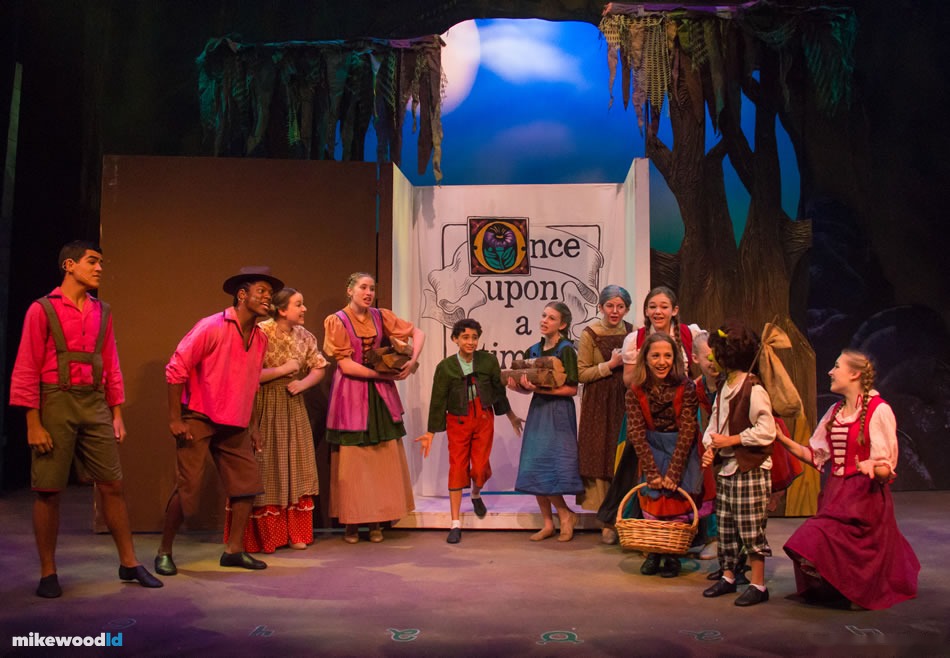 Shrek The Musical, production photo