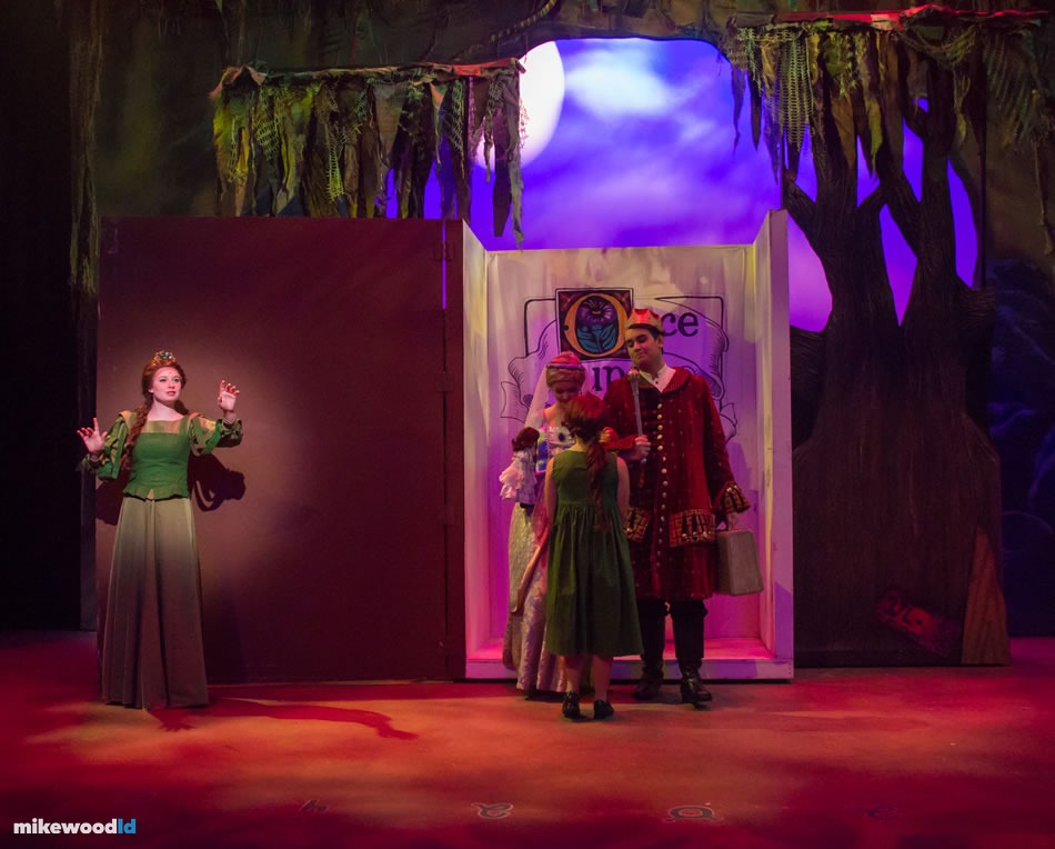 Shrek The Musical, production photo