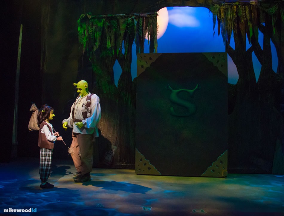 Shrek The Musical, production photo