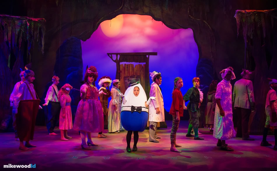 Shrek The Musical, production photo