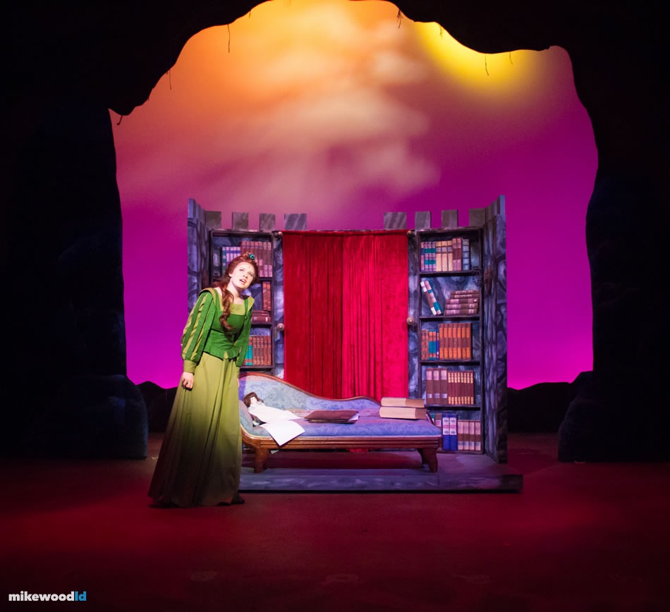 Shrek The Musical, production photo