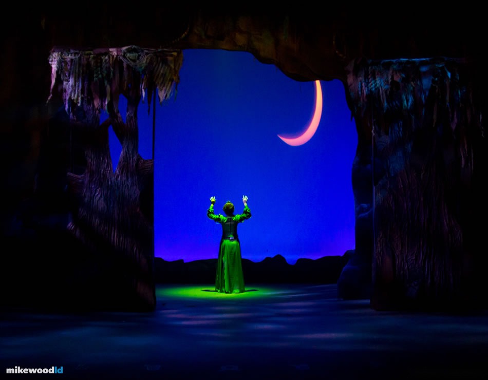 Shrek The Musical, production photo