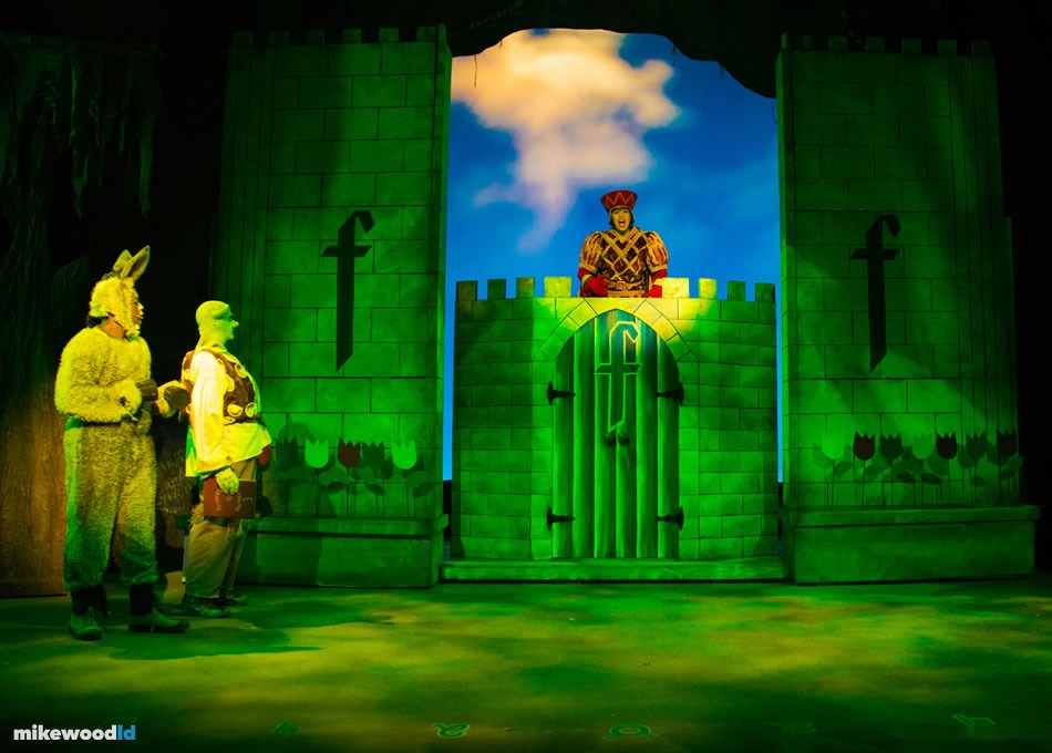 Shrek The Musical, production photo
