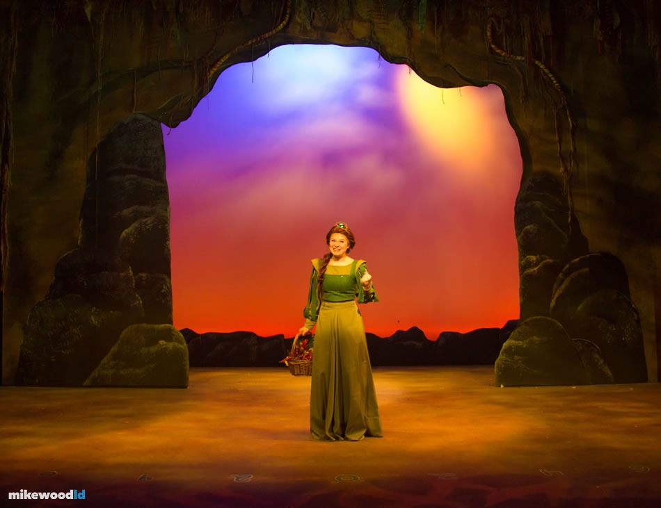 Shrek The Musical, production photo