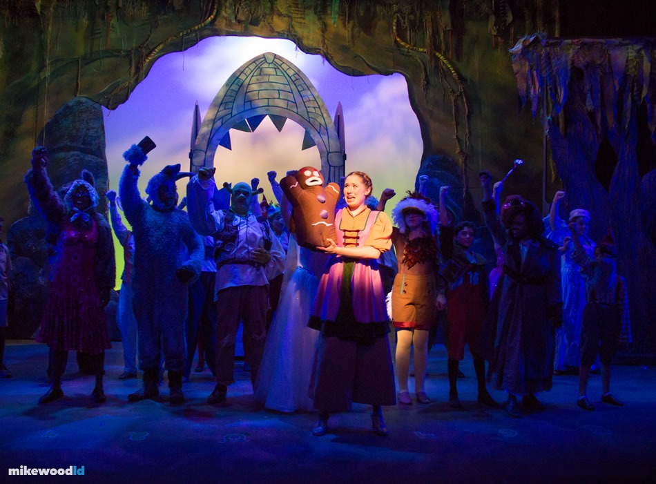 Shrek The Musical, production photo