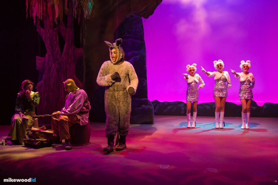 Shrek The Musical, production photo