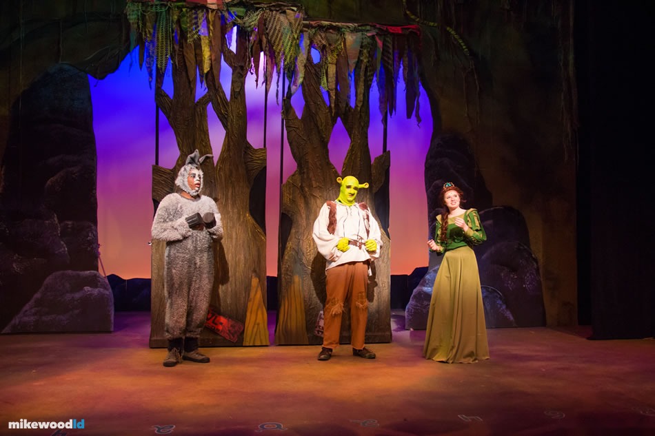 Shrek The Musical, production photo