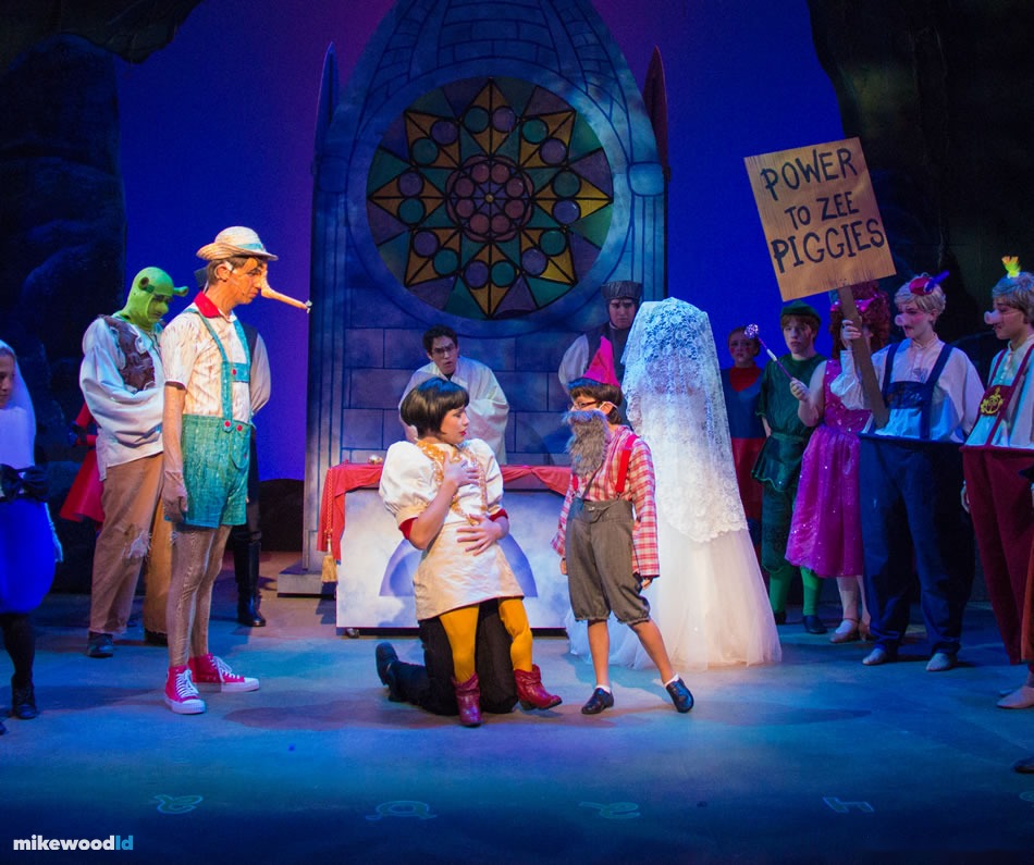 Shrek The Musical, production photo