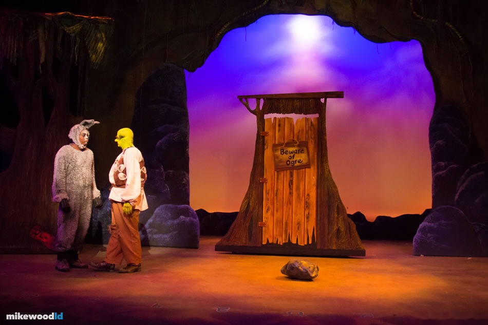 Shrek The Musical, production photo