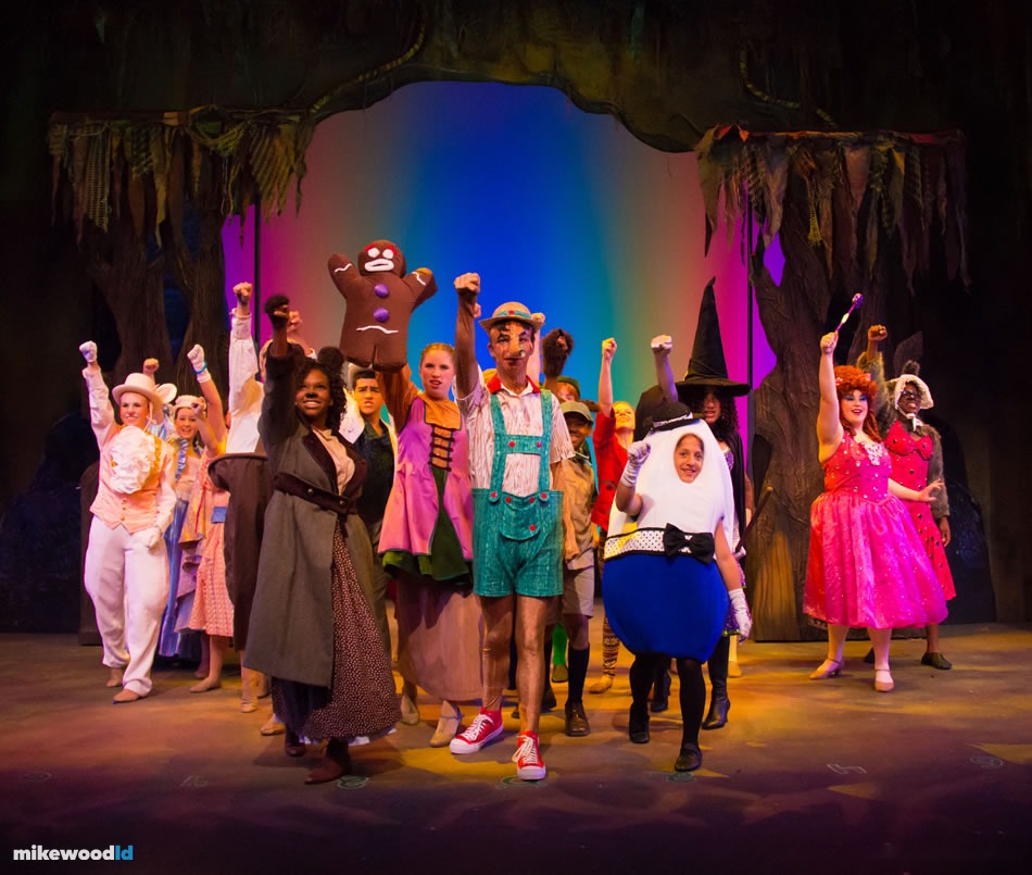 Shrek The Musical, production photo