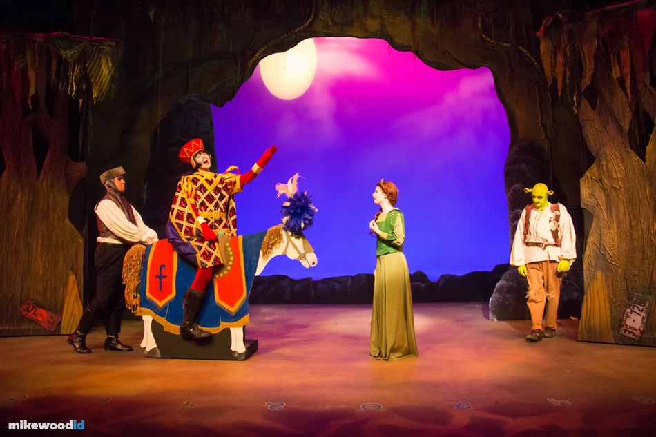 Shrek The Musical, production photo