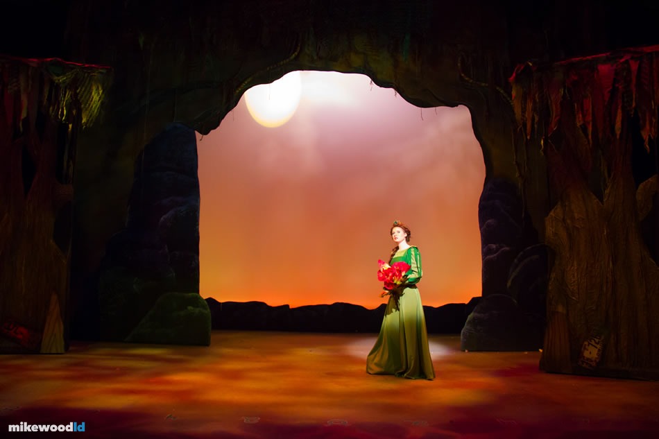 Shrek The Musical, production photo