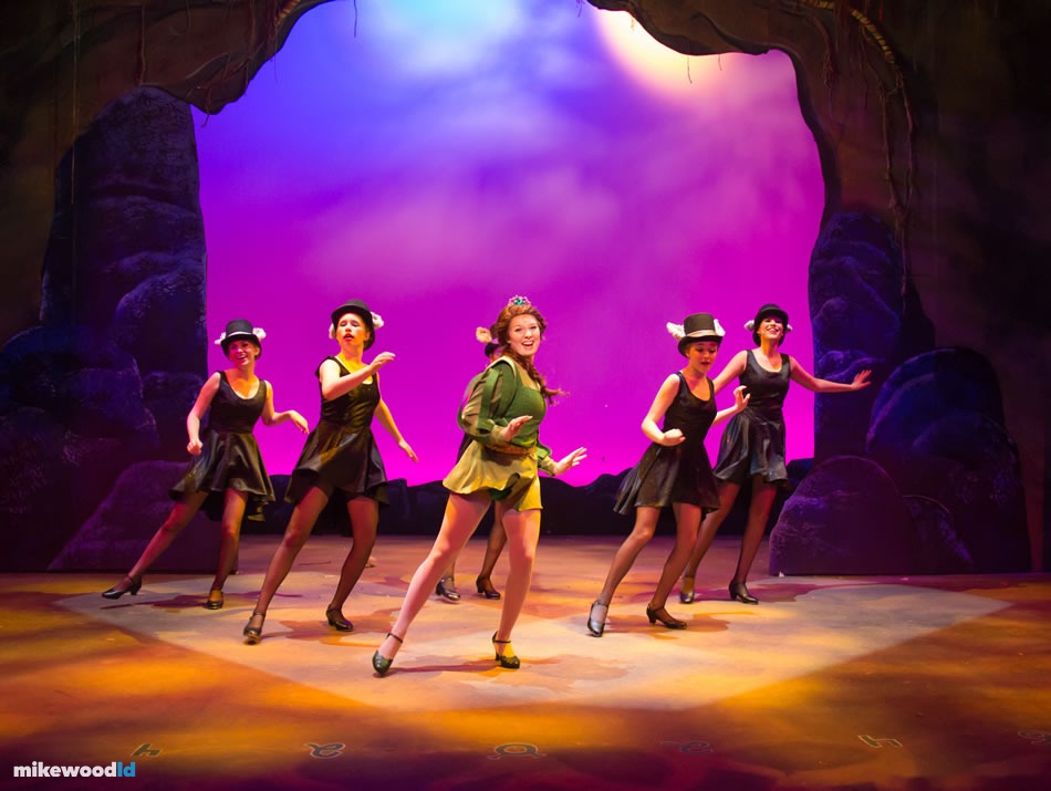 Shrek The Musical, production photo