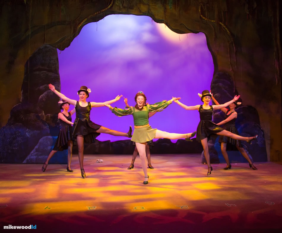 Shrek The Musical, production photo