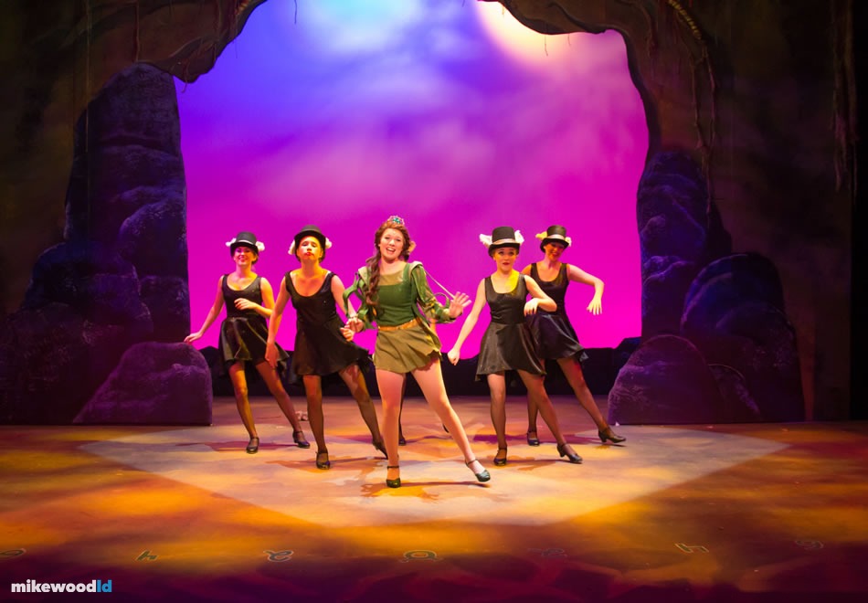 Shrek The Musical, production photo