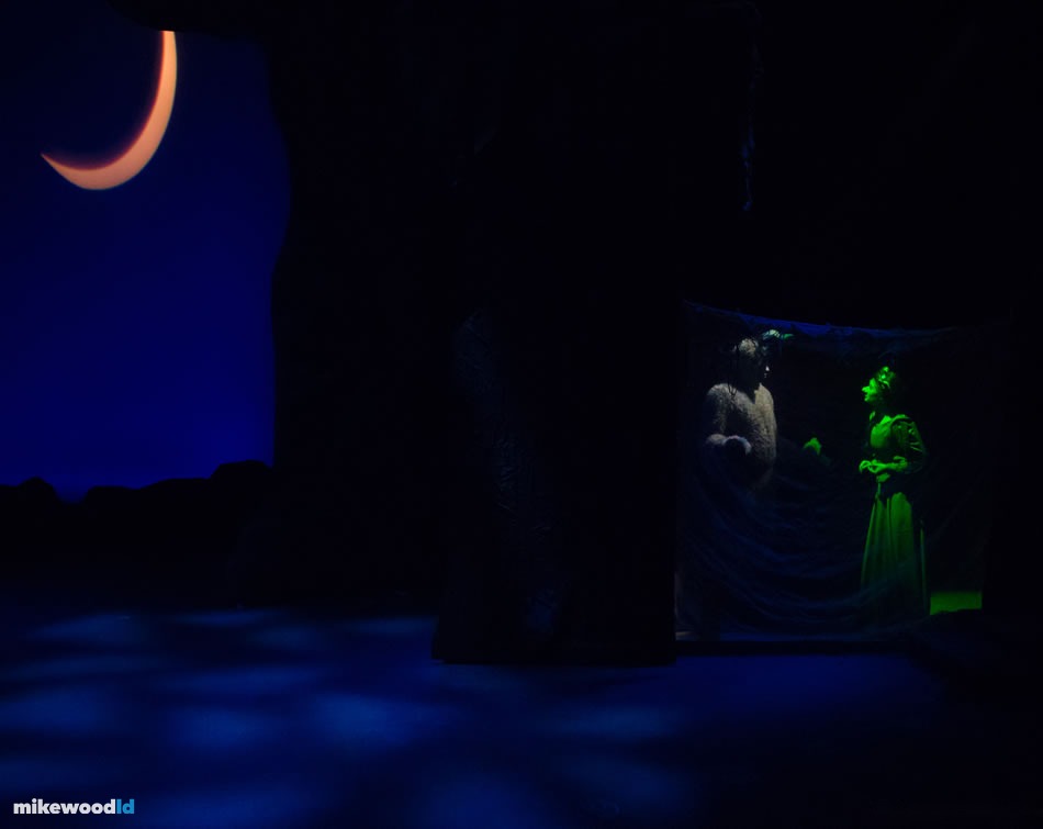 Shrek The Musical, production photo
