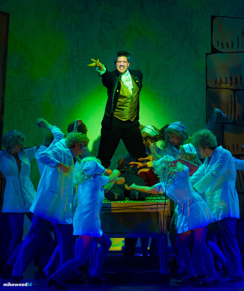 Young Frankenstein, portrait moment