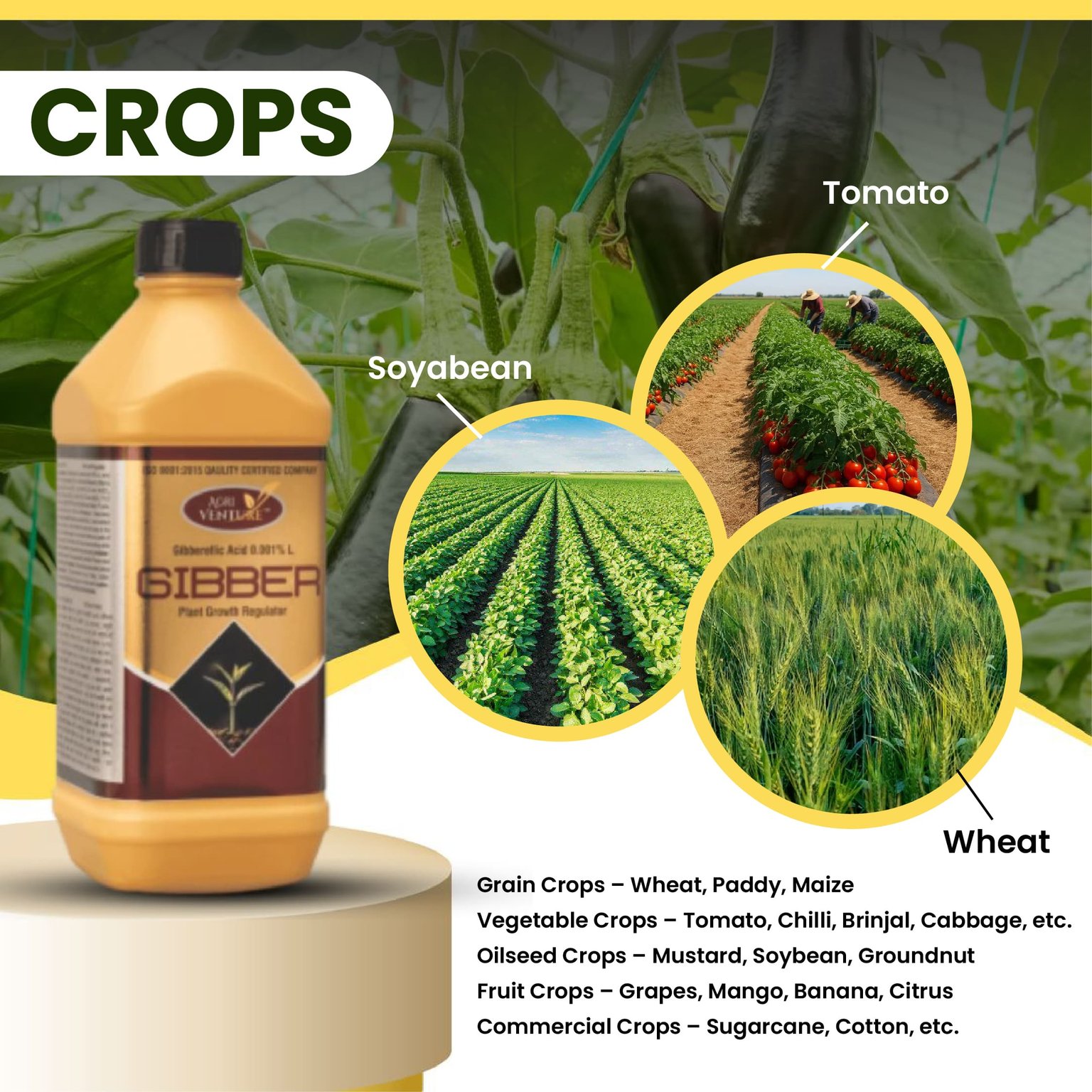 Agriventure GIBBER Gibberelic Acid 0.001% SL