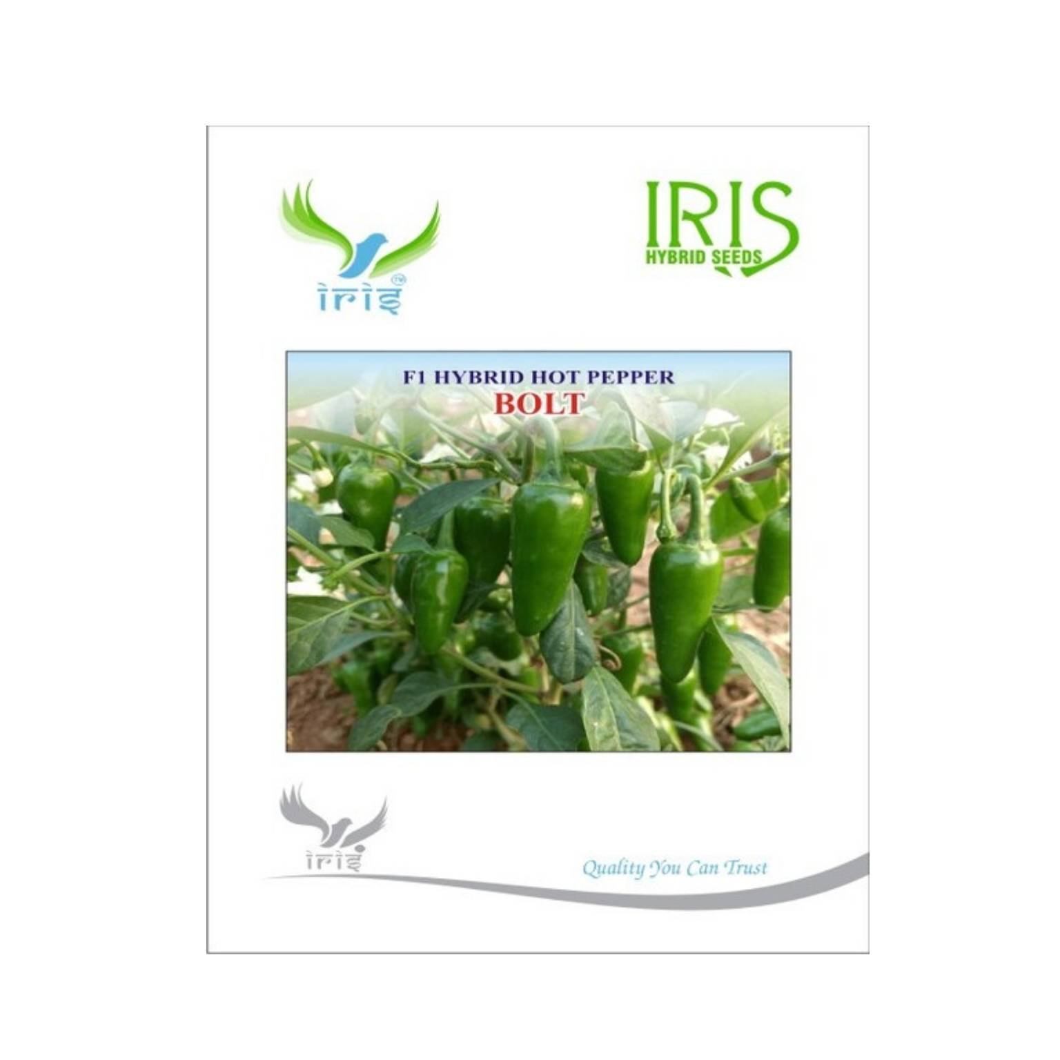Iris Hybrid Hot Pepper Bolt Vegetable Seeds
