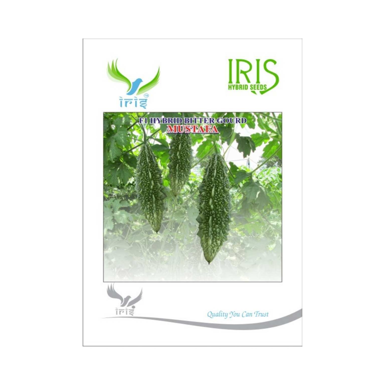 IRIS Hybrid Bitter Gourd Mustafa Vegetable Seeds
