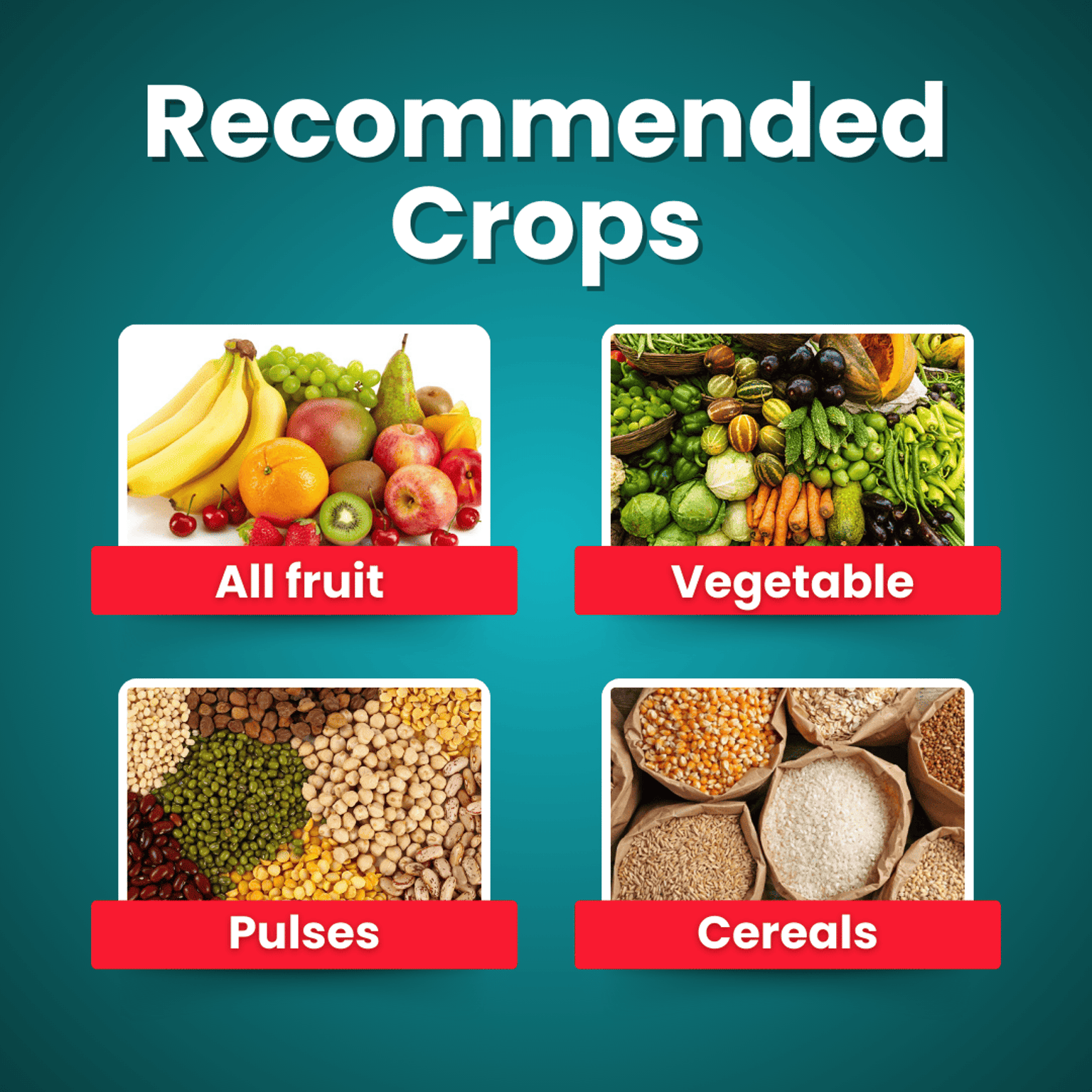 Boron 20% EDTA Micronutrient Katyayni Organics