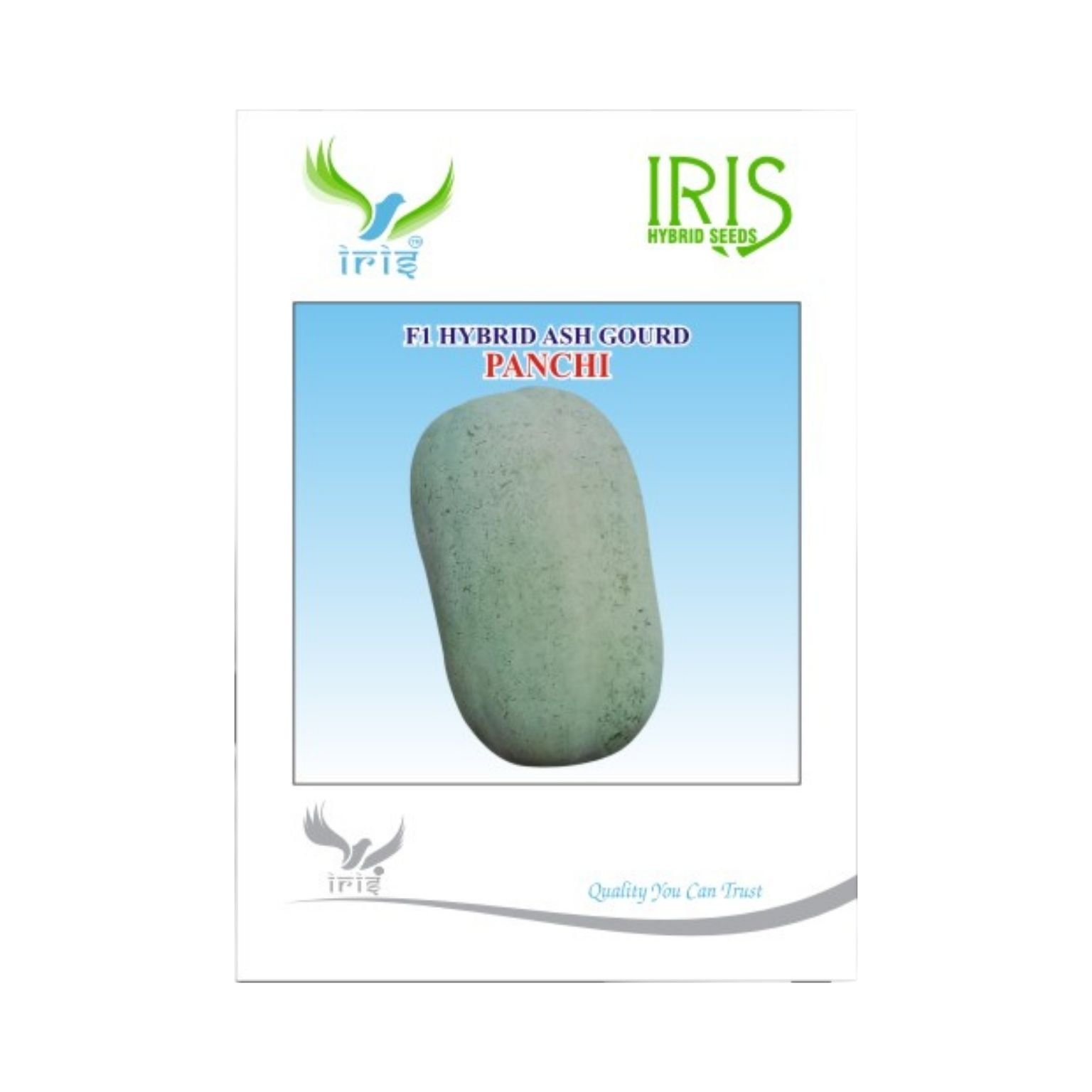 Iris Hybrid Ash Gourd Panchi Vegetable Seeds