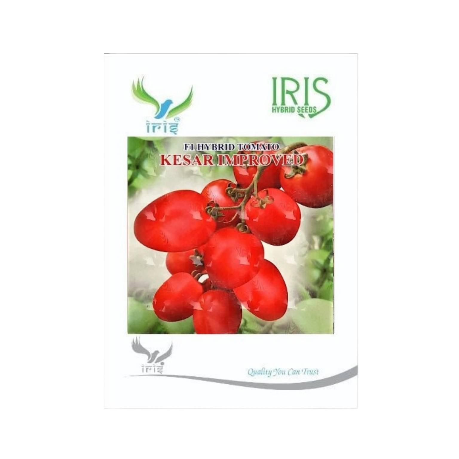 Iris Hybrid Tomato Kesar Improved Vegetable Seeds
