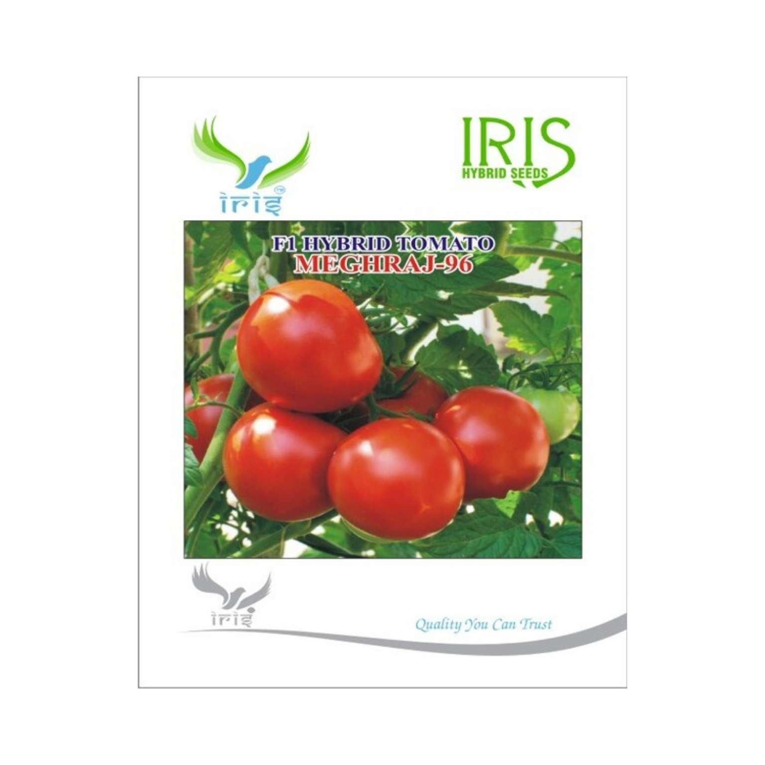 Iris Hybrid Tomato Meghraj 96 Vegetable Seeds