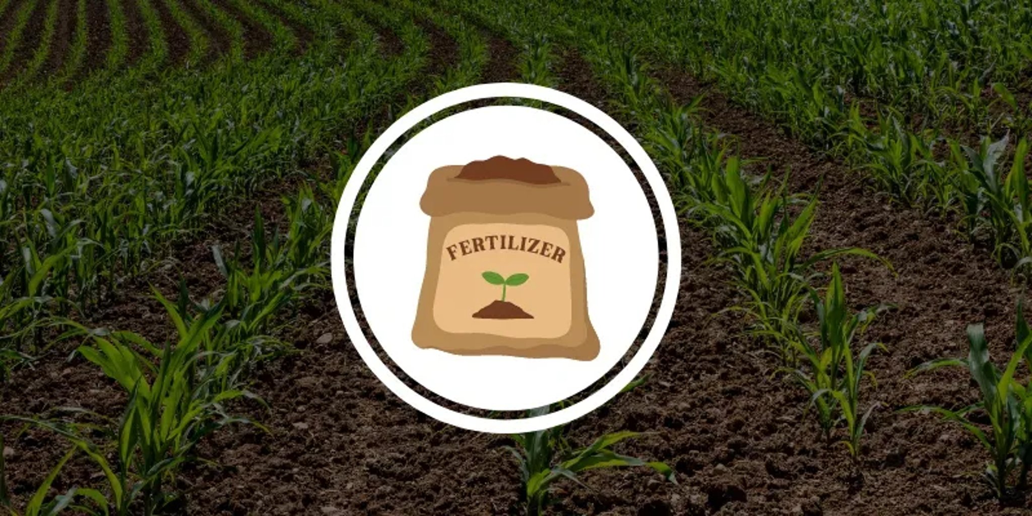BIO  MITICIDES/ACARICIDES