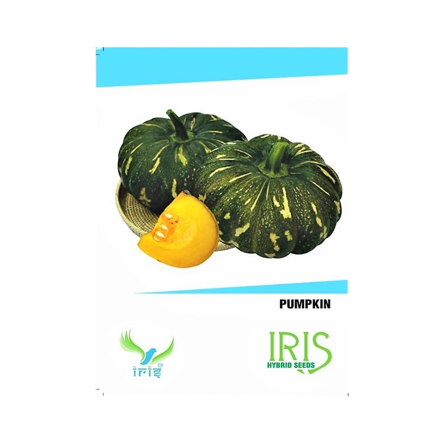 Iris Hybrid Pumpkin Vegetable Seeds