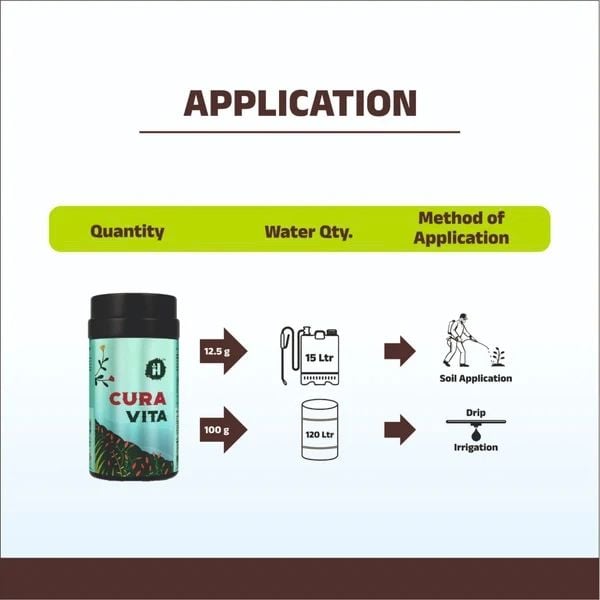Cura Vita
