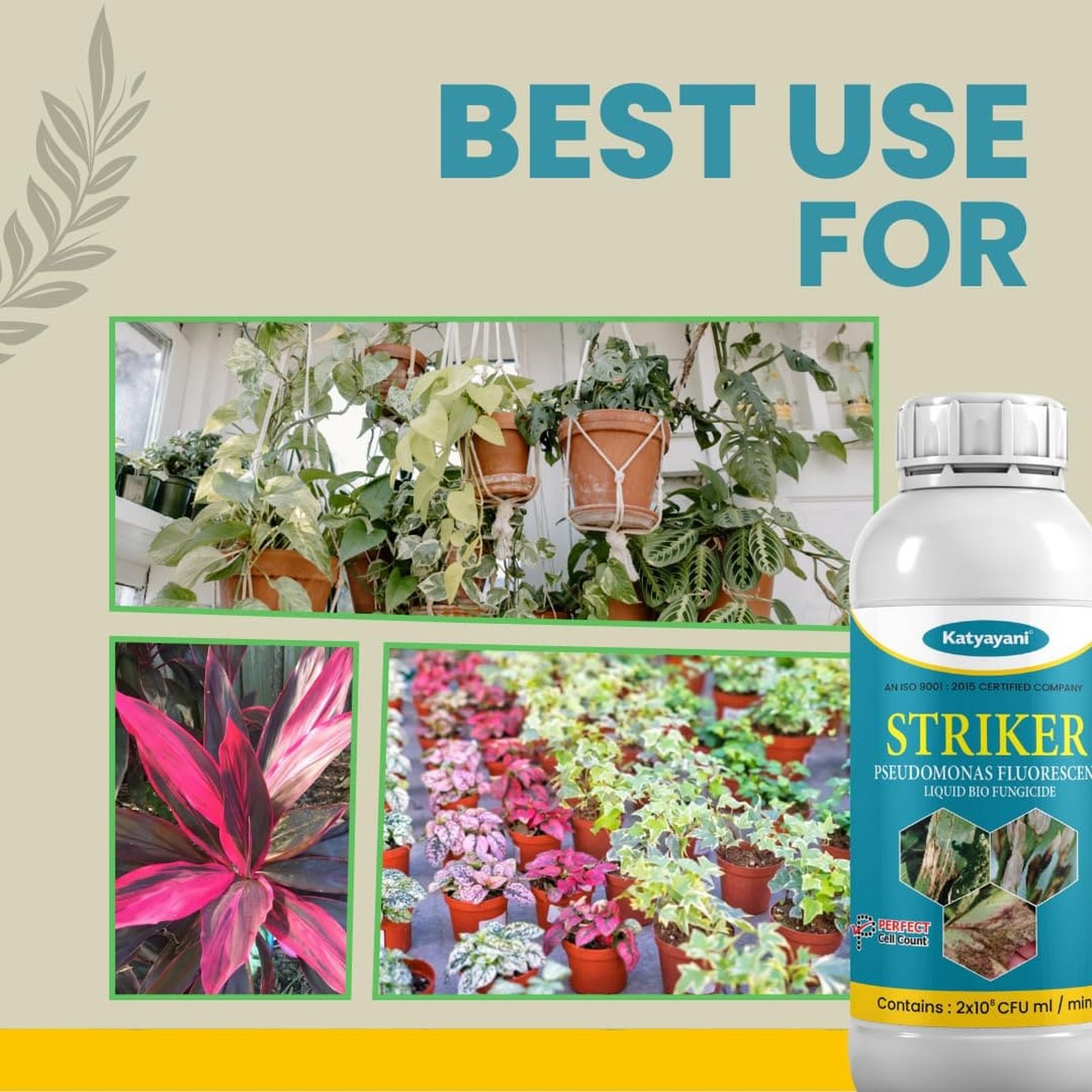 Katyayani Striker | Pseudomonas Fluorescens | Liquid Bio Fungicide