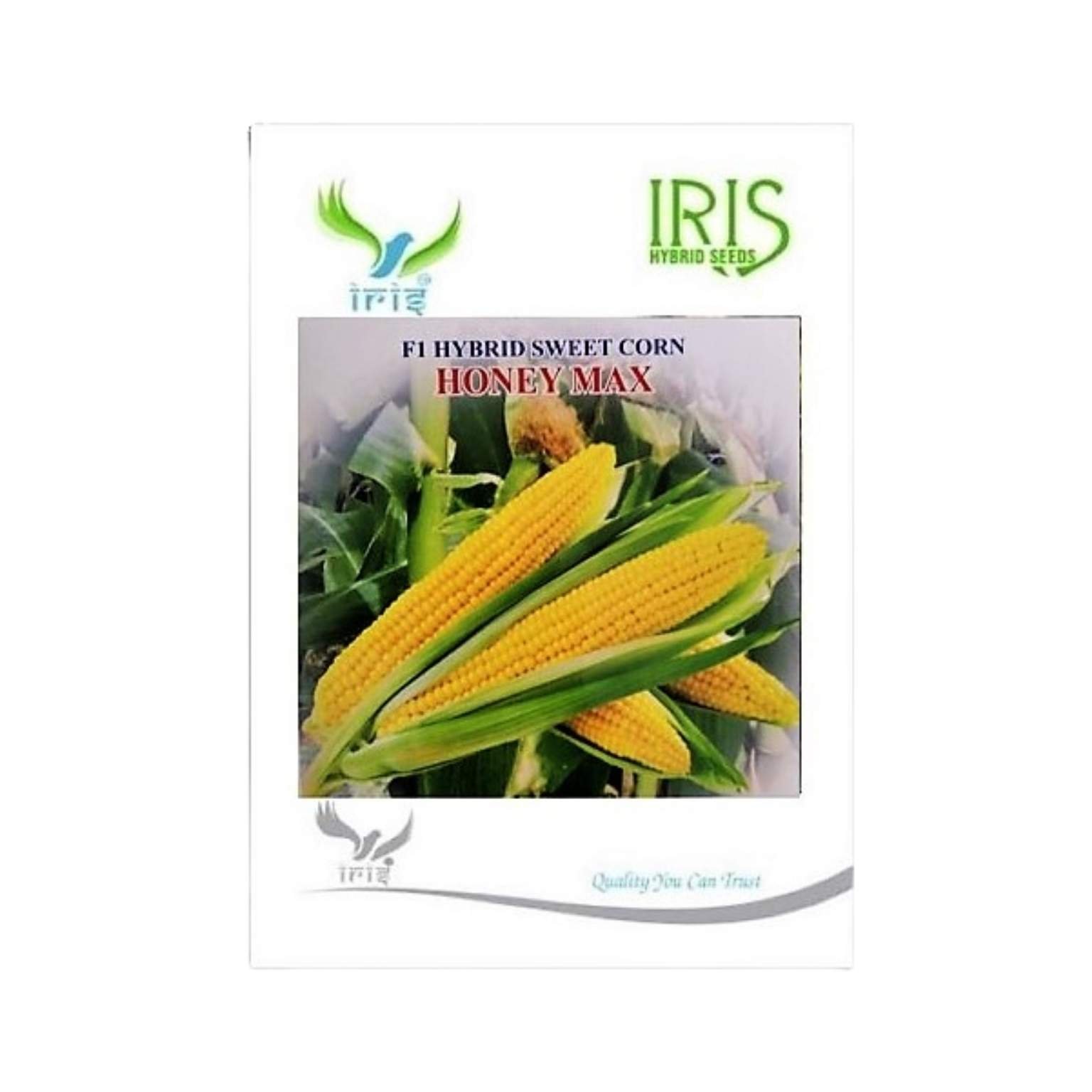Iris Hybrid Sweet Corn Honey Max Vegetable Seeds