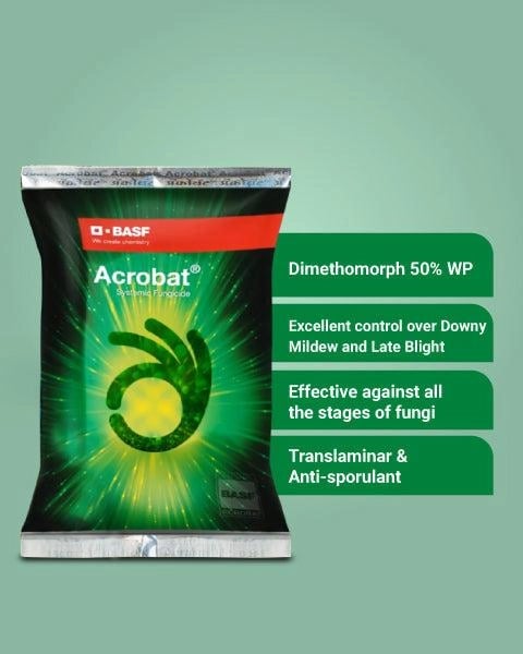 BASF Acrobat Dimethomorph 50% WP 200GM