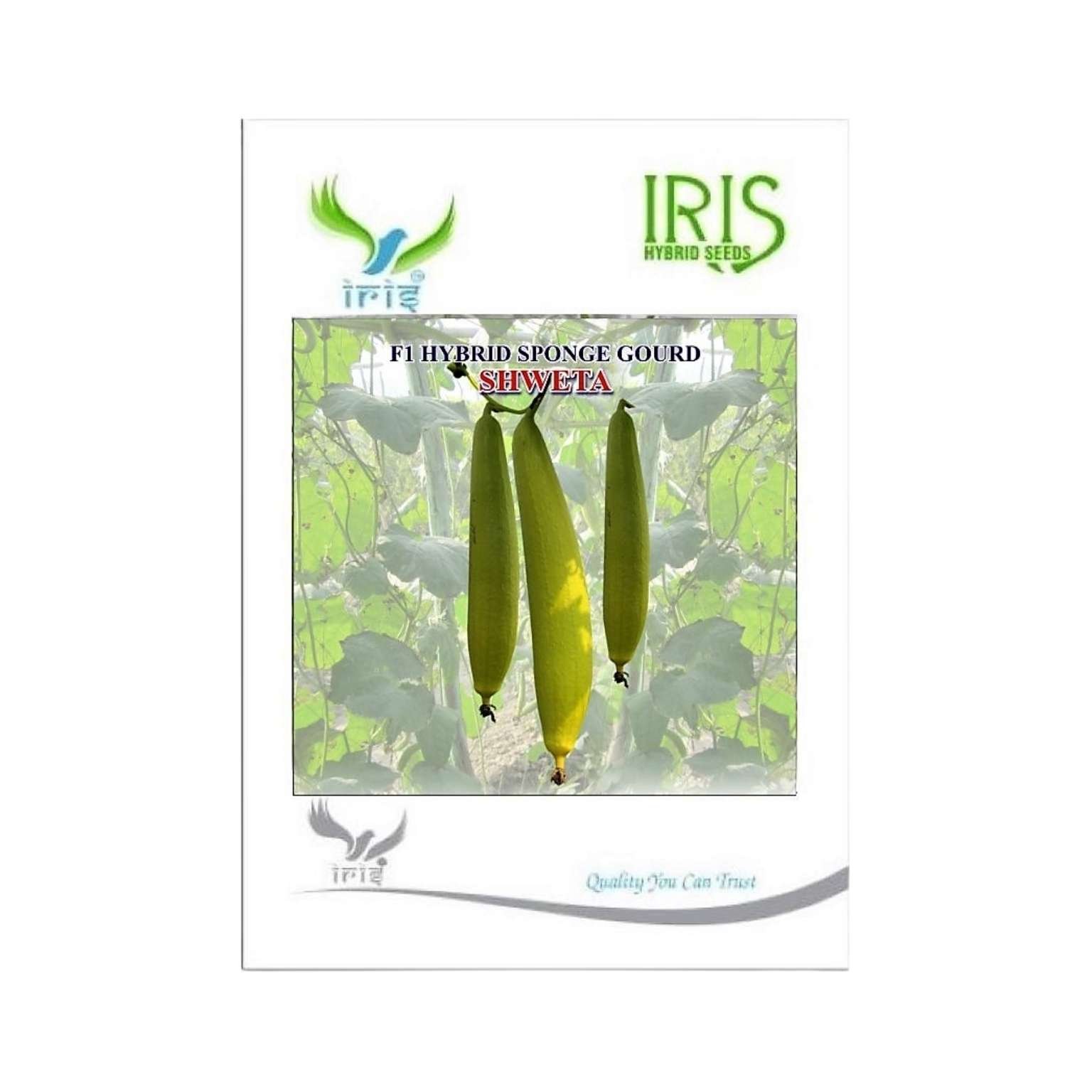 Iris Hybrid Sponge Gourd Shweta Vegetable Seeds
