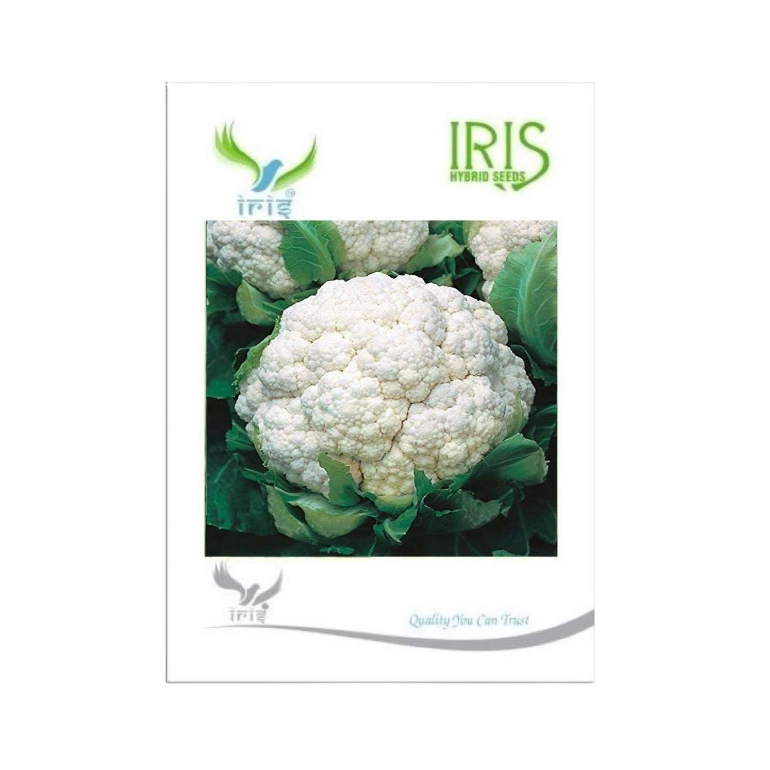 Iris Hybrid Cauliflower Vegetable Seeds