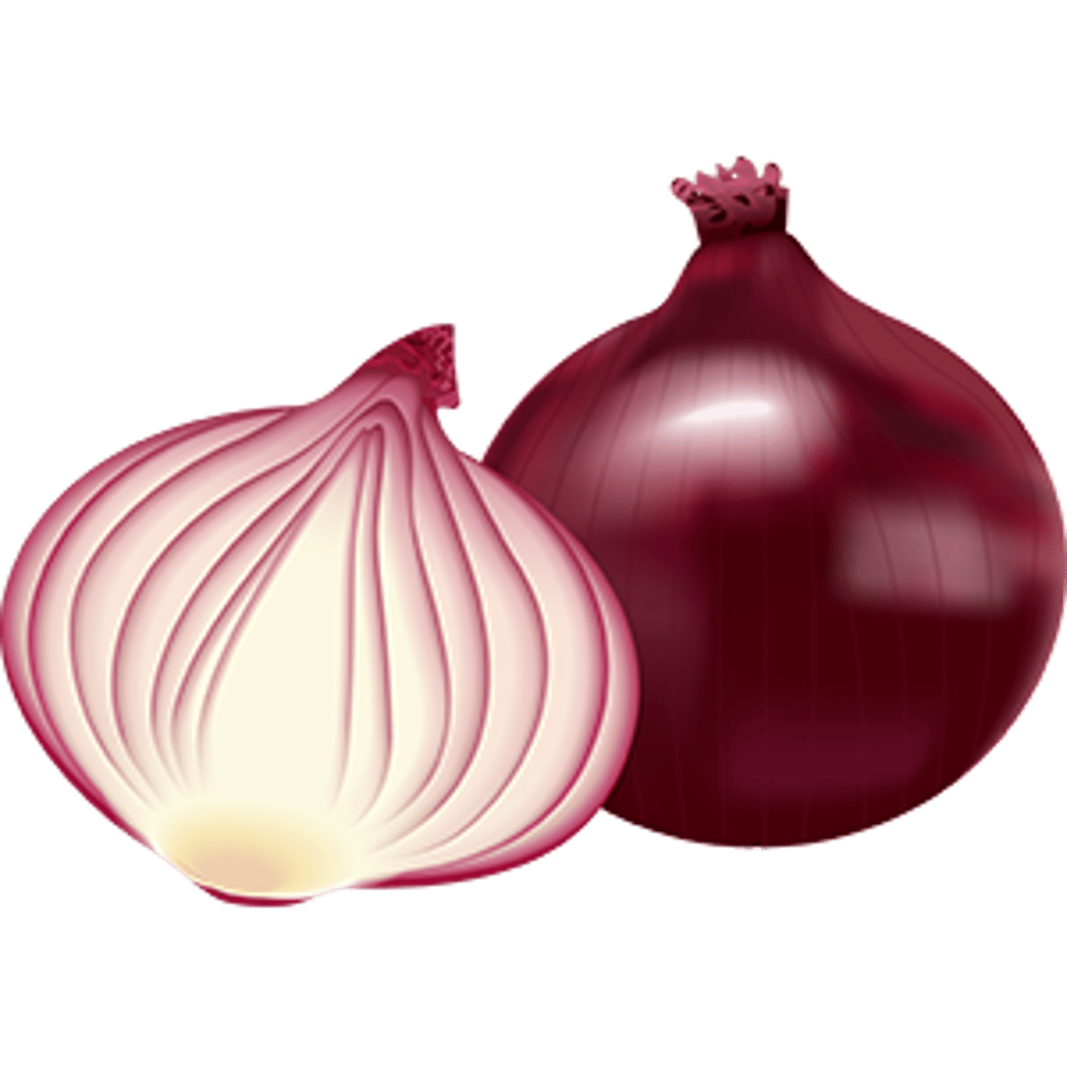 Onion