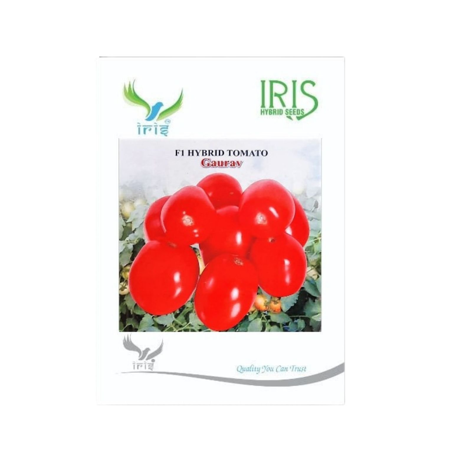 Iris Hybrid Tomato Gaurav Vegetable Seeds