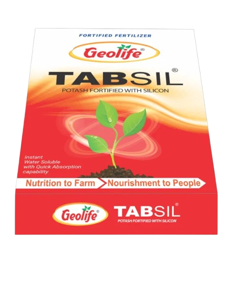 Tabsil FA