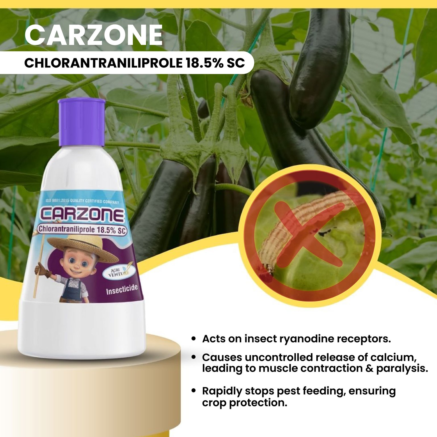 Agri Venture Carzone Chlorantraniliprole 18.5% SC Chemical Insecticide